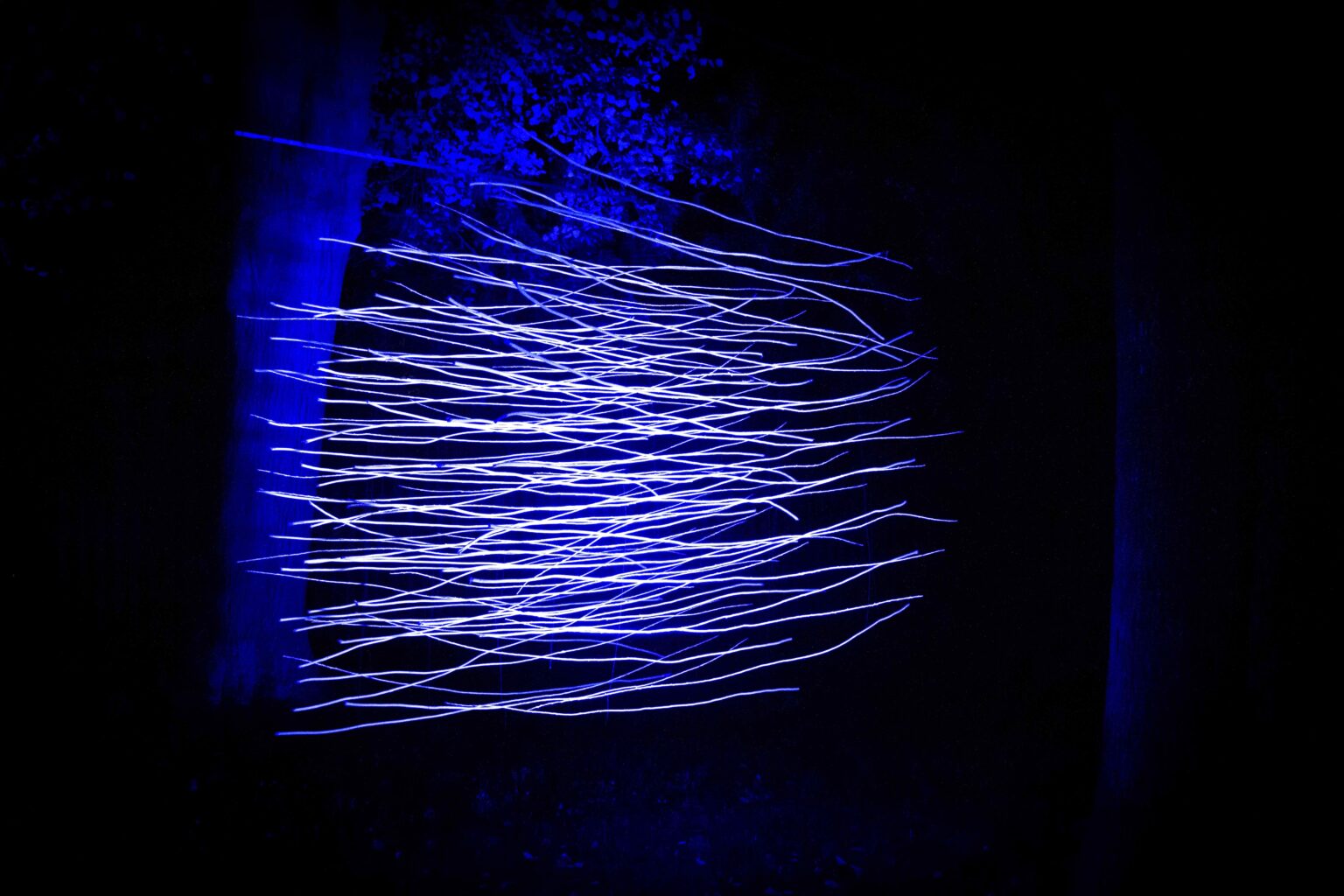 pozioma, niebieska instalacja świetlna nocą