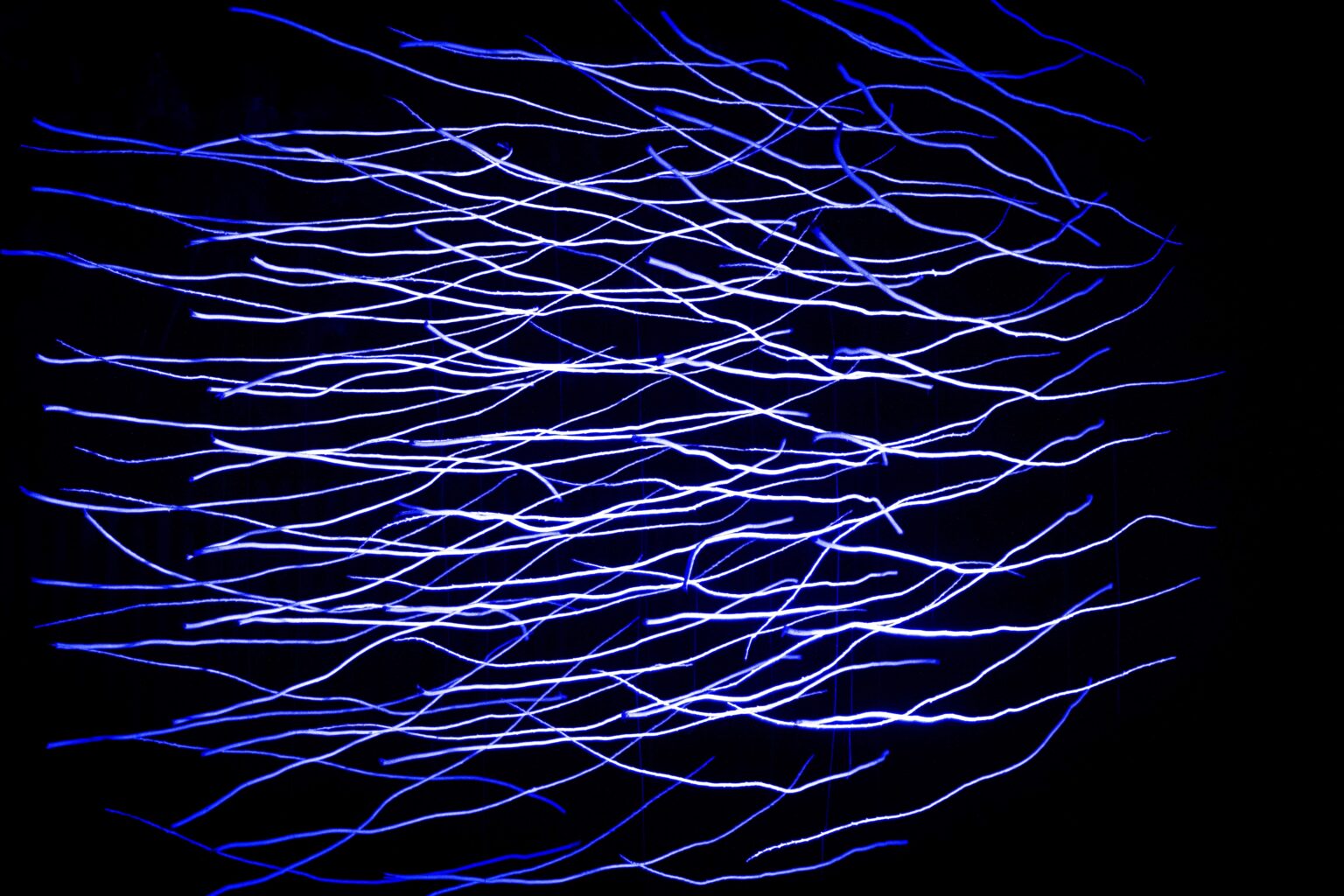 pozioma, niebieska instalacja świetlna nocą