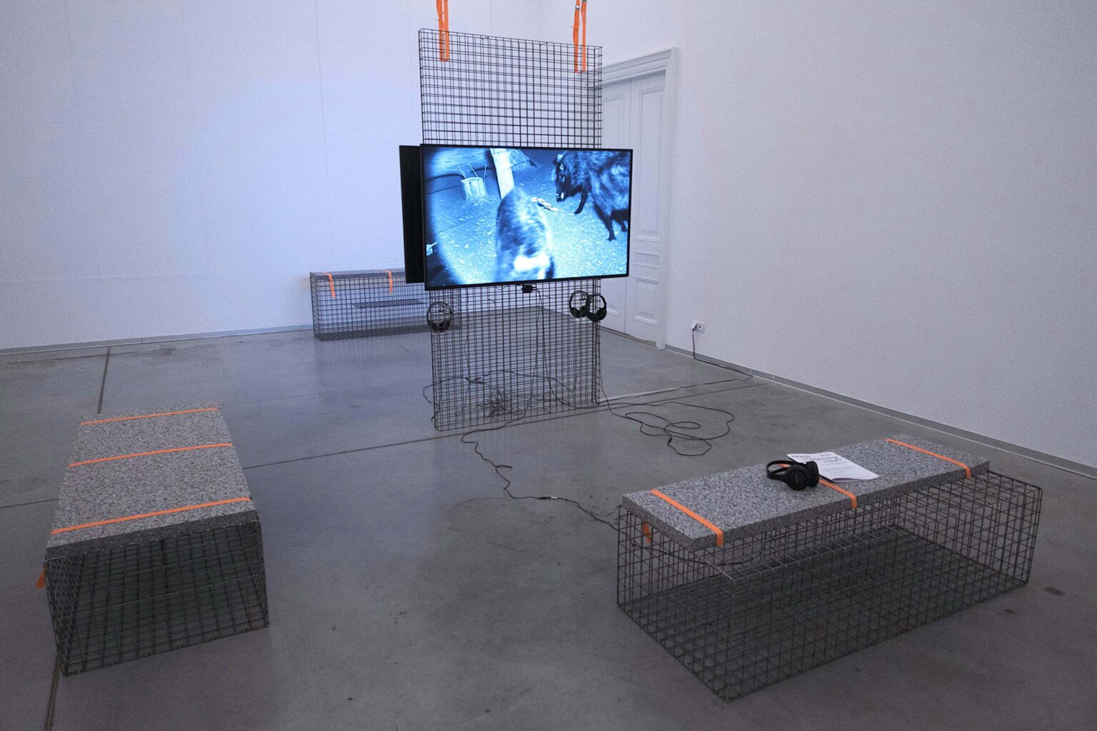 projekcja na ekranie w przestrzeni galerii