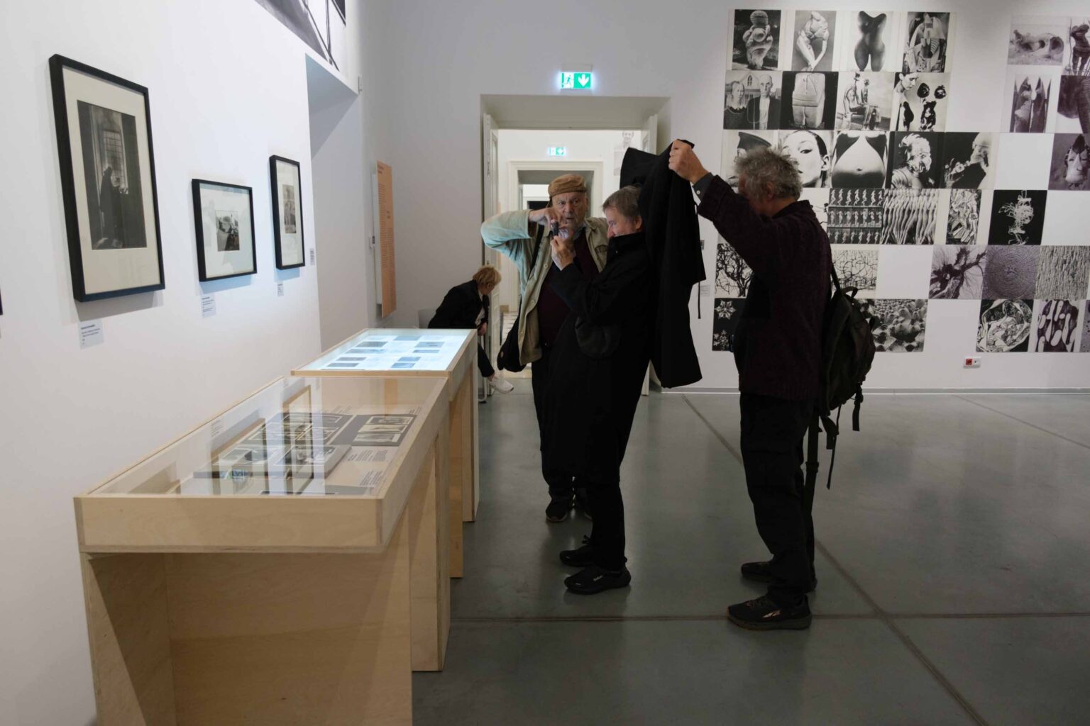 zwiedzający, wystawa w tle