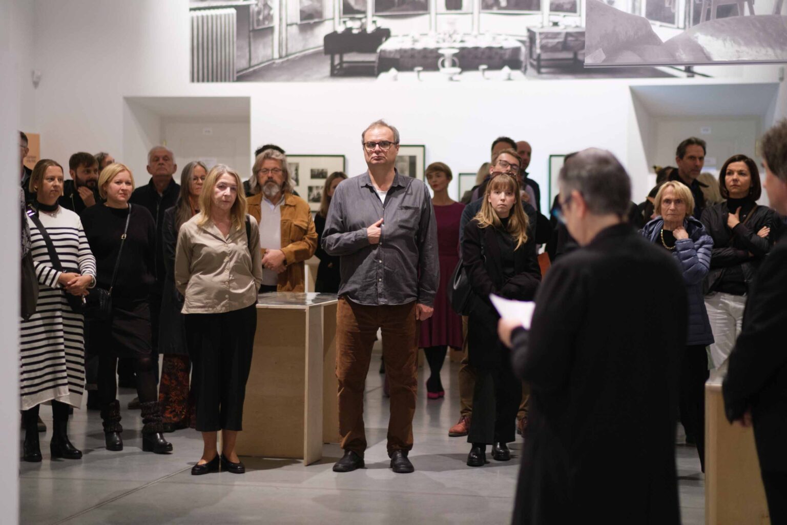 duża grupa osów, wystawa w tle