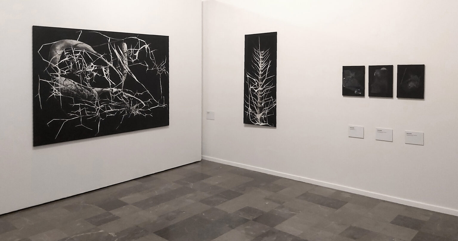 obrazy w przestrzeni galerii