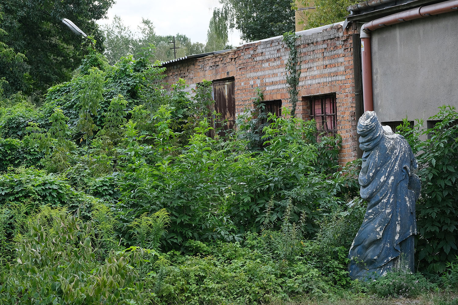 kolorowa fotografia ruiny ceglanego budynku otoczona dziką roślinnością