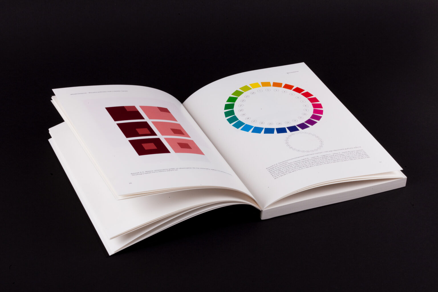 Widoczne dwie sony książki, po lewej widać 6 kwadratów większych umieszczonych w dwóch rzędach, na których znajduje się 6 kwadratów mniejszych. Na stronie prawej znajduje się koło zbudowane z kwadratów o różnych kolorach.