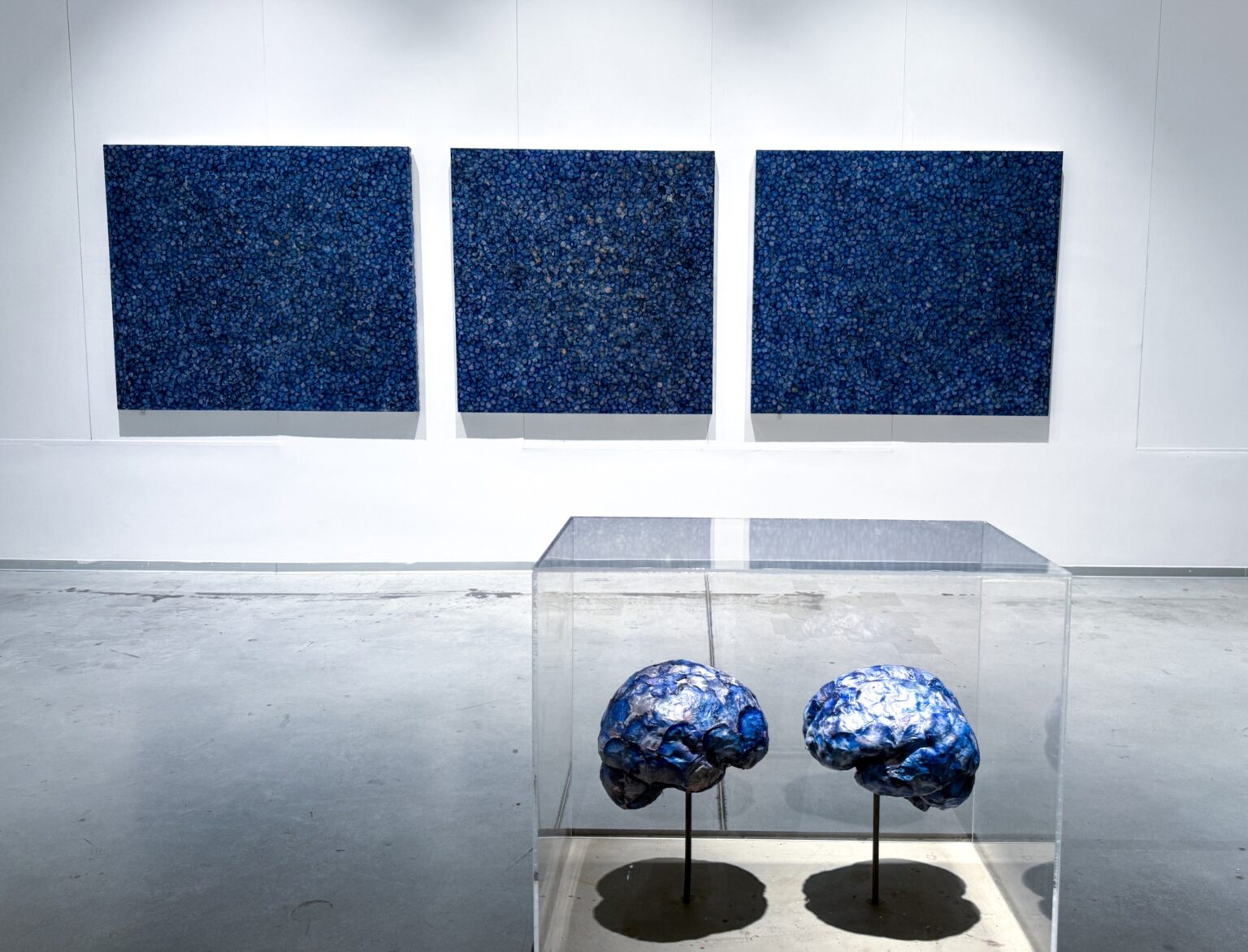 duże niebieskie obrazy, na pierwszym planie gablota z dwoma niebieskimi obiektami przypominającymi mózg