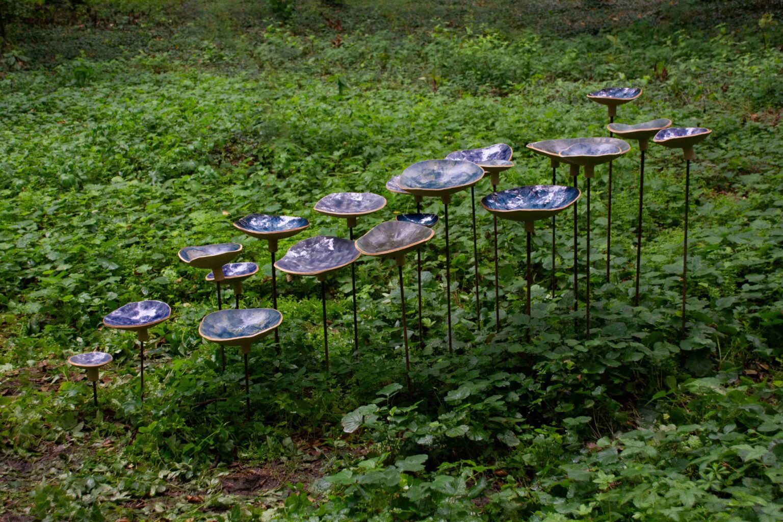 niebieskie rzeźby podobne do grzybów w trawie