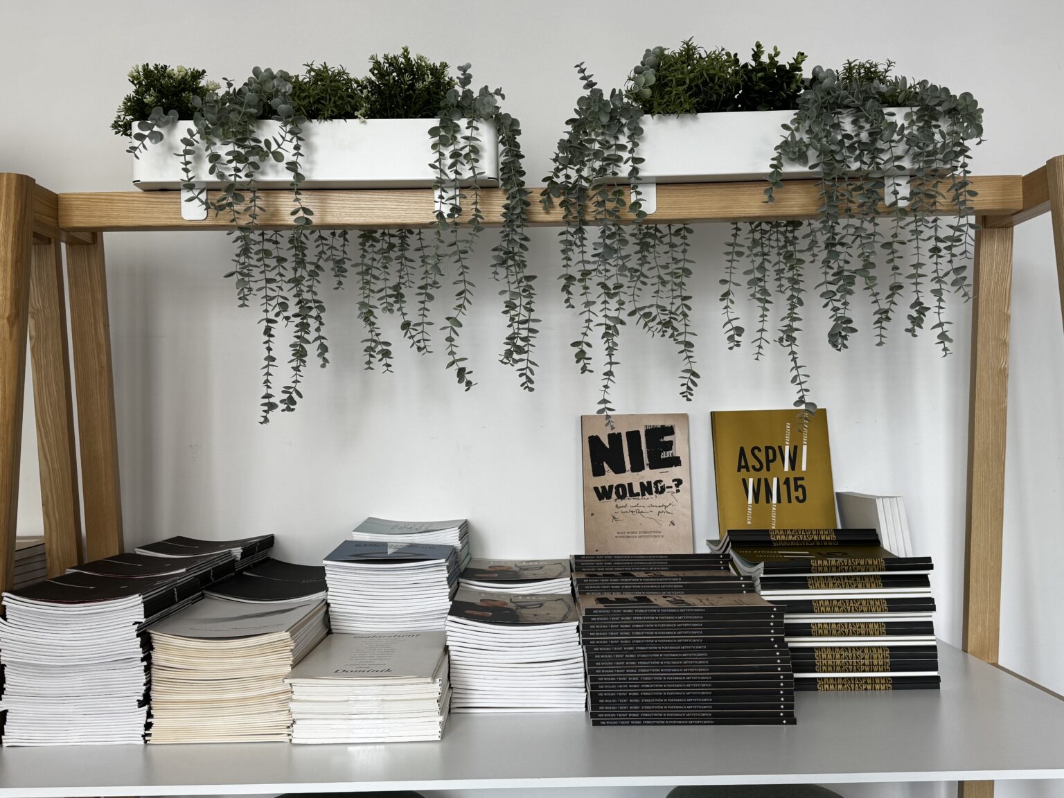 zdjęcie książek na regale, z góry wiszące rośliny