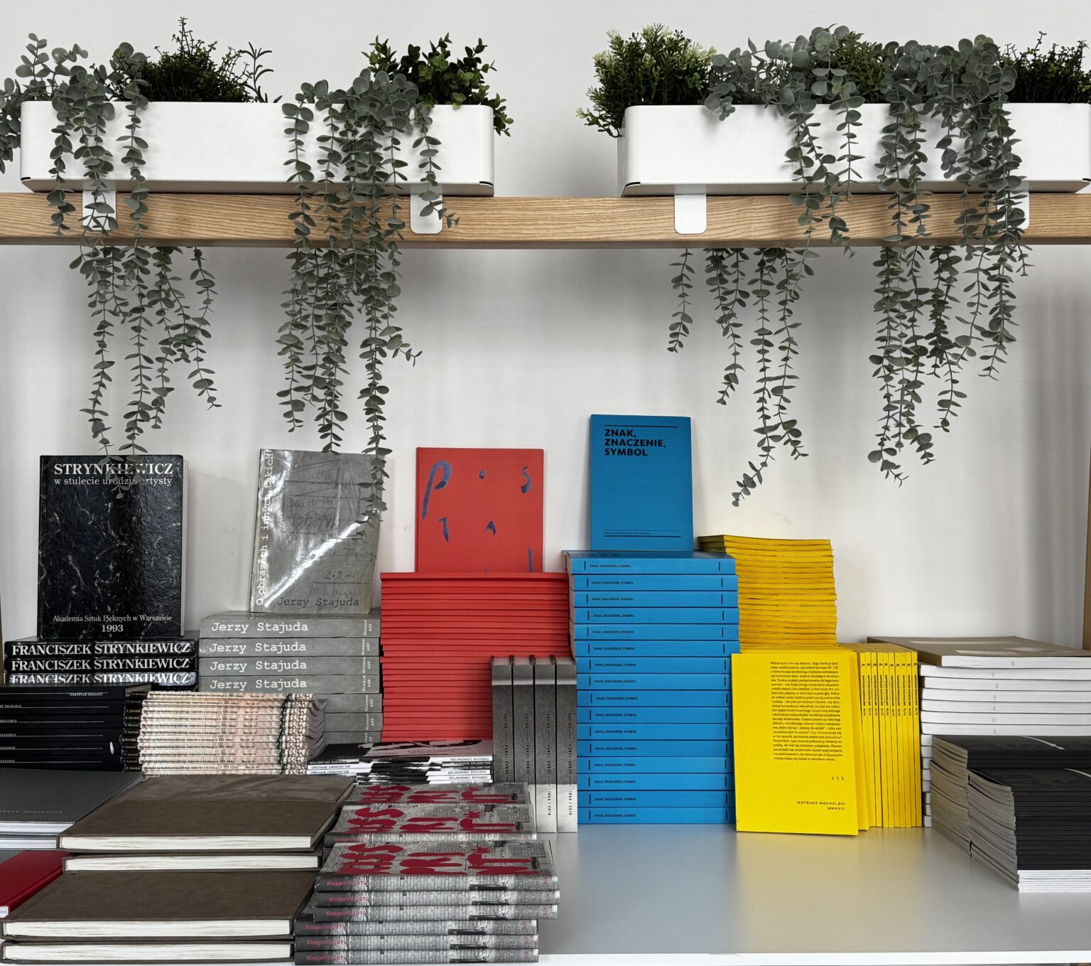 zdjęcie kolorowych książek na regale, z góry wiszące rośliny