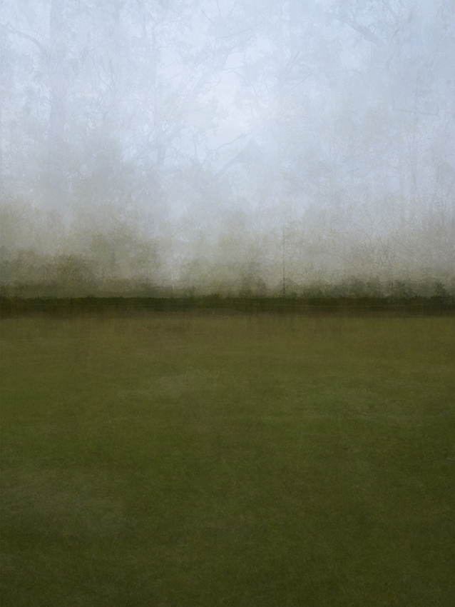 fotografia w odcieniach zieleni