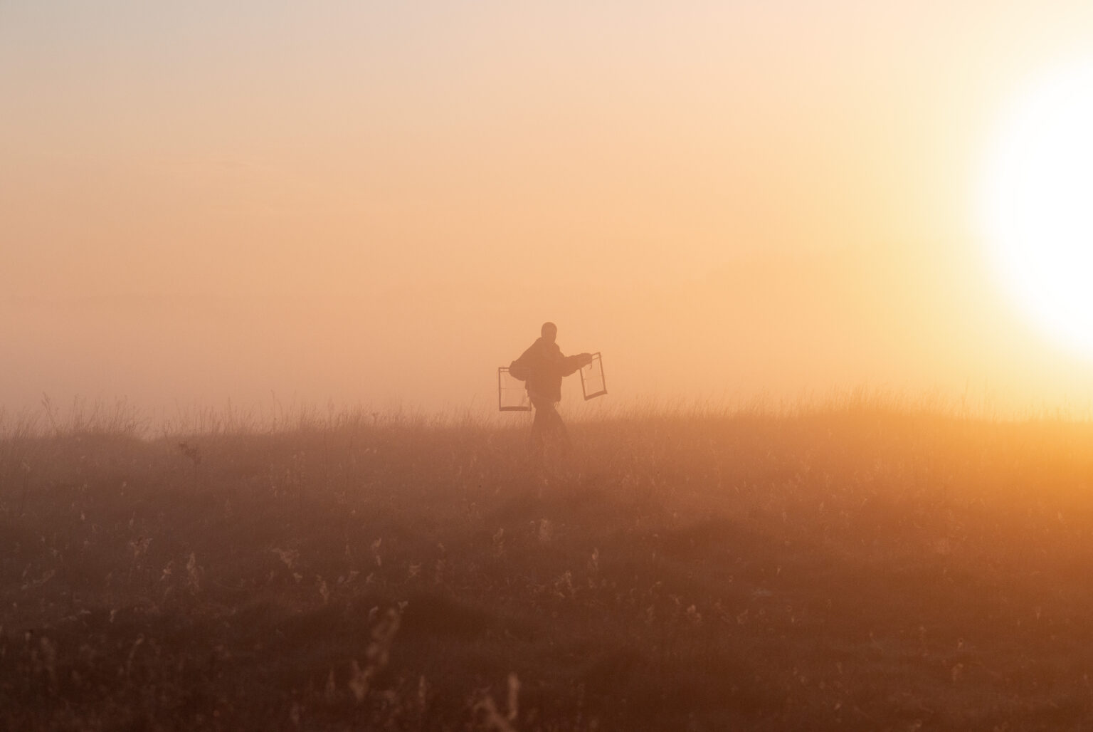 Postać w mgle niesie przedmioty na tle zachodzącego słońca.